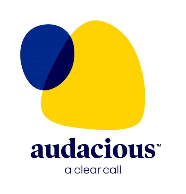 audacious synonym